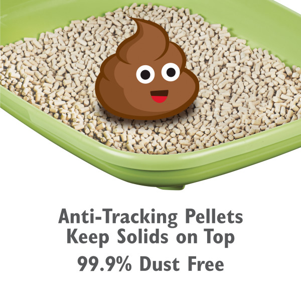 Product photo 4